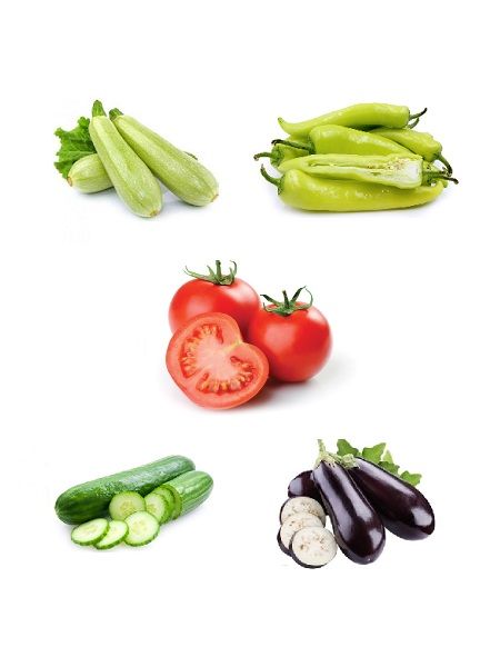 Patlıcan - Kabak - Domates - Salatalık - Biber Tohumu Paket Kampanyası 