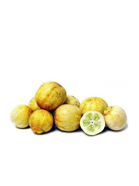 Kristal Limon Salatalık Tohumu Paket