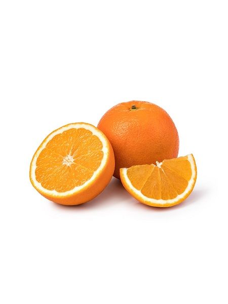 Portakalı Fidanı, Yafa Şamoti Portakalı Citrus × sinensis Jaffa, 80-100 cm, Saksıda