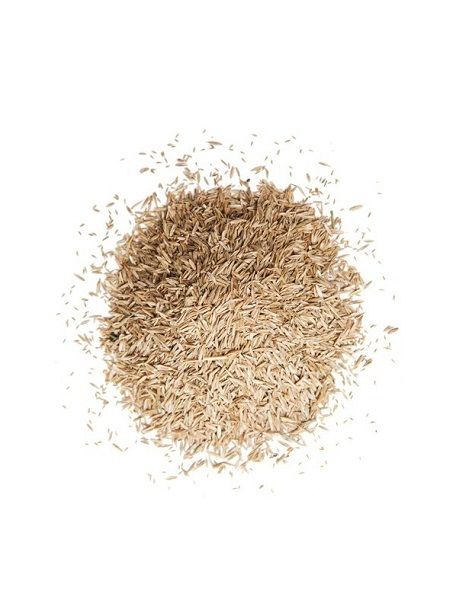 4 Karışım REFUGE Çim Tohumu 1 kg (Susuzluğa Dayanıklı)