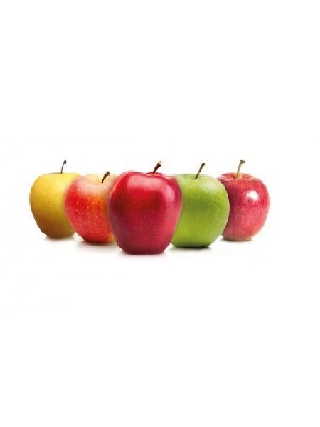 5 Adet Karışık Elma Fidanı, 2-3 Yaş, Açık Kök