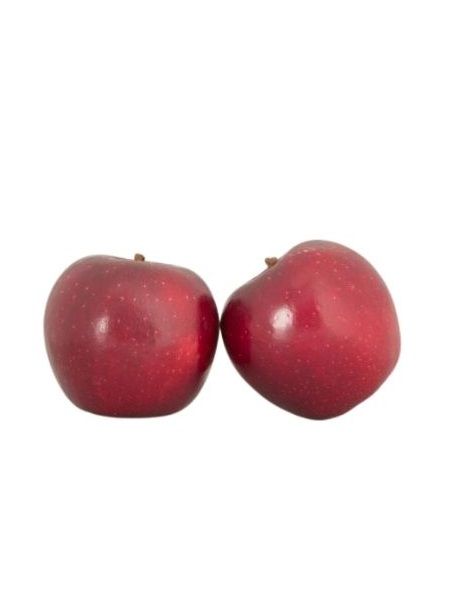 Elma Fidanı Galaval, +120 cm, Bodur, Rootball
