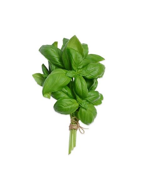 Fesleğen Tohumu (Yeşil Reyhan) Paket 1 gr.