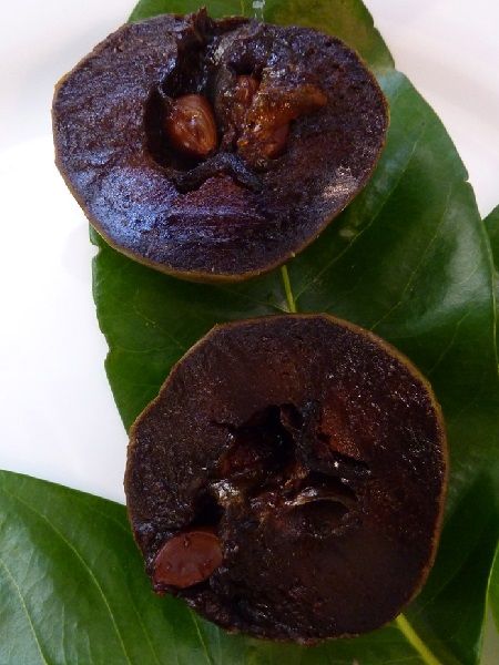 Çikolata Meyvesi Diospyros digyna Black Sapote, 20-40 cm, Tüplü