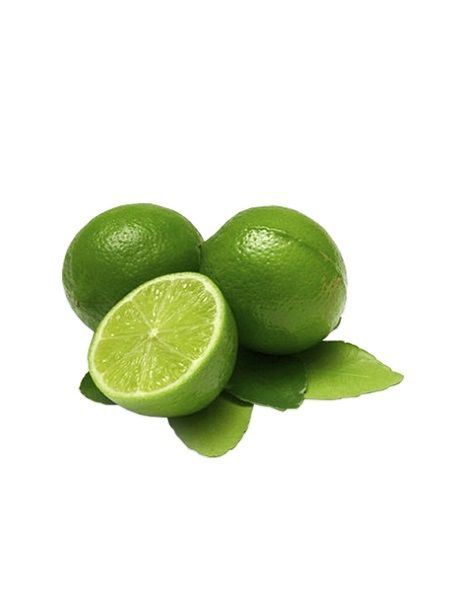 Misket Limon Fidanı Citrus aurantifolia Lime, +4-5 Yaş, Saksıda
